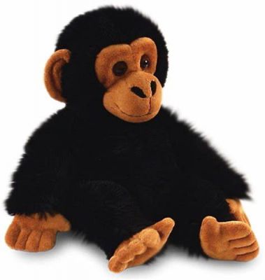 Cuddly Chimp (£10.99)